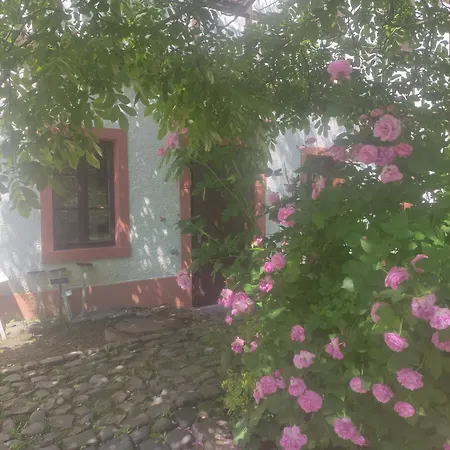 Kloster St Marienthal Zisterziensen